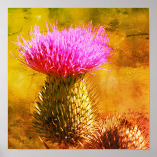 Affiche Fleur de chardon pourpre en gros plan art en détre