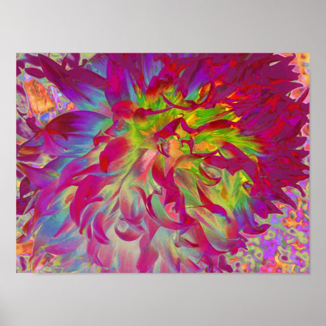 Affiche Fleur de dahlia magenta et jaune psychédélique (Devant)