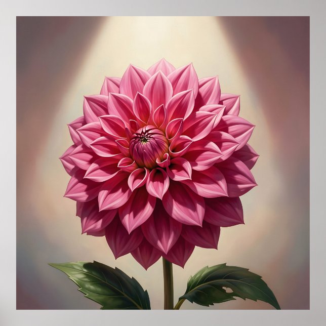 Affiche Fleur de Dahlia Rose Botanique (Devant)