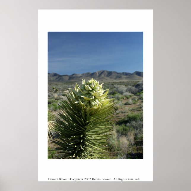 Affiche Fleur de dessert (Devant)