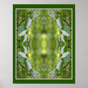Affiche Fleur de Dogwood sauvage fleurit Abstrait