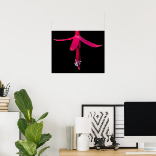 Affiche Fleur de Fuchsia Rose Clair sur Fond Noir