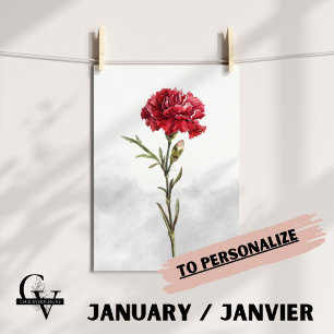 Affiche Fleur de janvier aquarelle botanique oeillet rouge