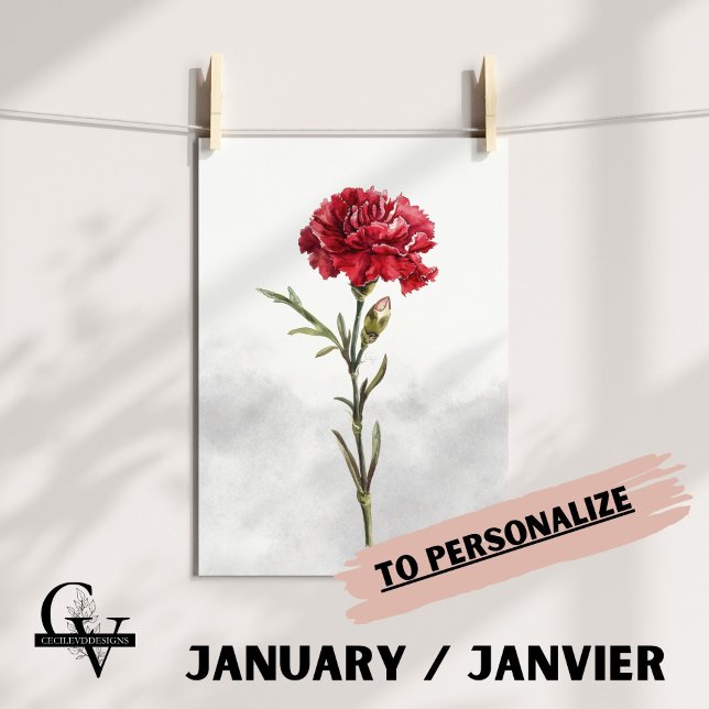 Affiche Fleur de janvier aquarelle botanique oeillet rouge (Fleur de Naissance du mois de Janvier : L'Oeillet)