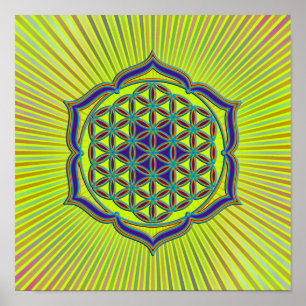 Affiche Fleur de la vie / Blume des Lebens - Lotus Contour
