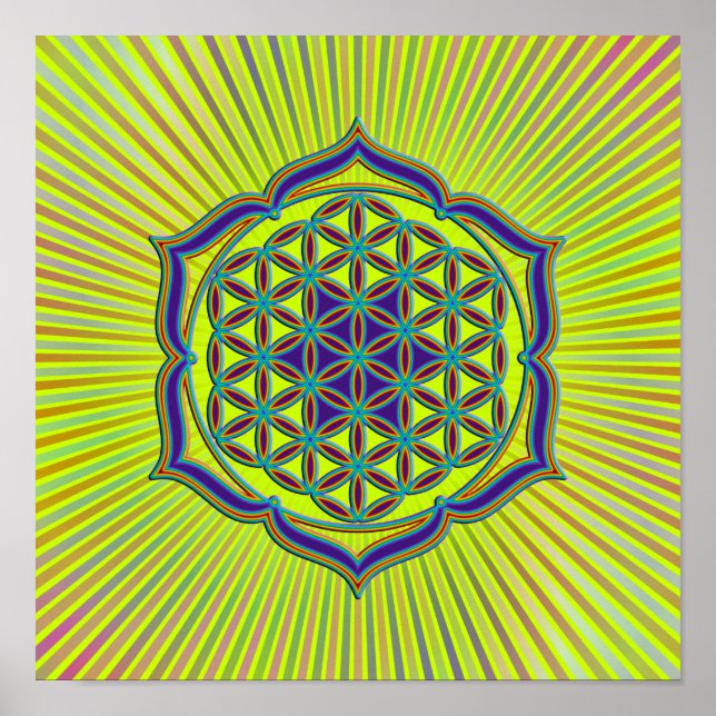 Affiche Fleur de la vie / Blume des Lebens - Lotus Contour (Devant)