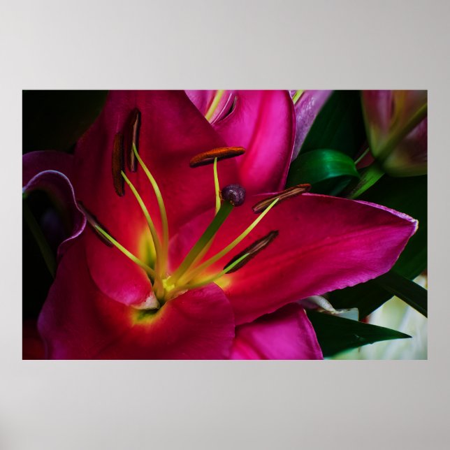 AFFICHE FLEUR DE LILAS ROUGE (Devant)