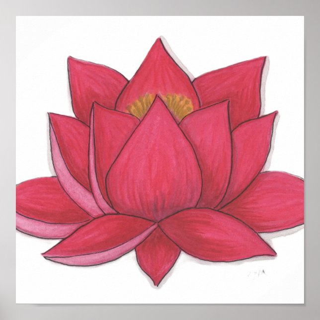 Affiche Fleur de lotus (Devant)