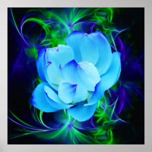 Affiche Fleur de lotus bleu et sa signification