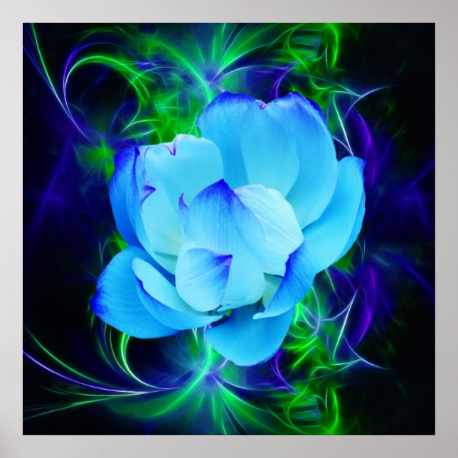 Affiche Fleur de lotus bleu et sa signification (Devant)