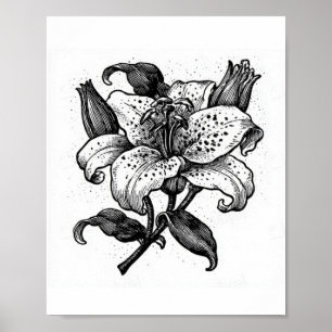 Affiche Fleur de lys noir et blanc vintage