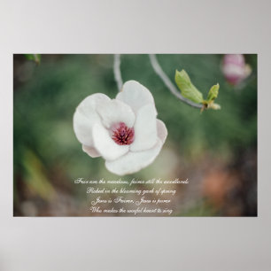 Affiche Fleur de Magnolia japonaise blanche avec un vieux 