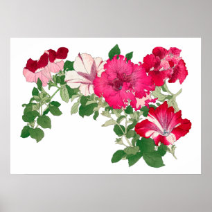 Affiche Fleur de Mallow, art japonais vintage