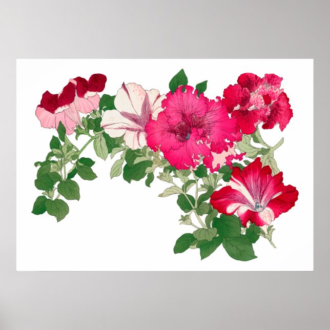 Affiche Fleur de Mallow, art japonais vintage (Devant)