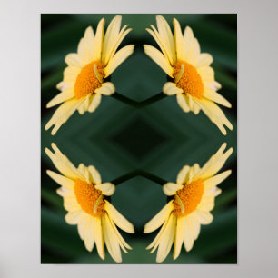 Affiche Fleur de marguerite jaune fermer miroir Abstrait