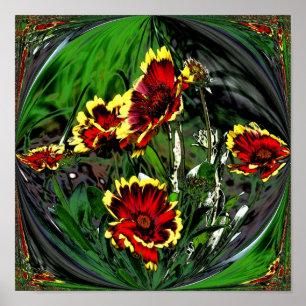 Affiche Fleur de marguerites colorées Abstraites