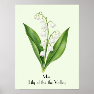 Affiche Fleur de Muguet de Mai