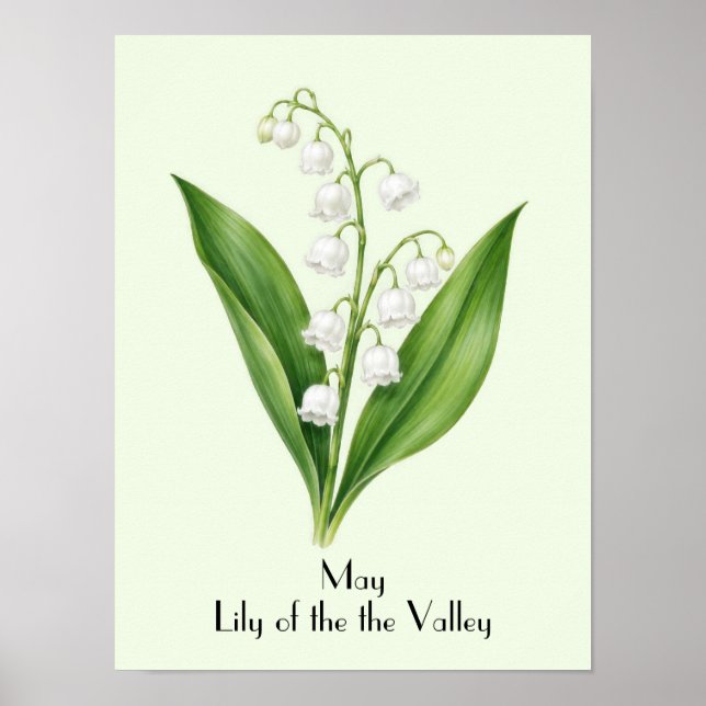 Affiche Fleur de Muguet de Mai (Devant)