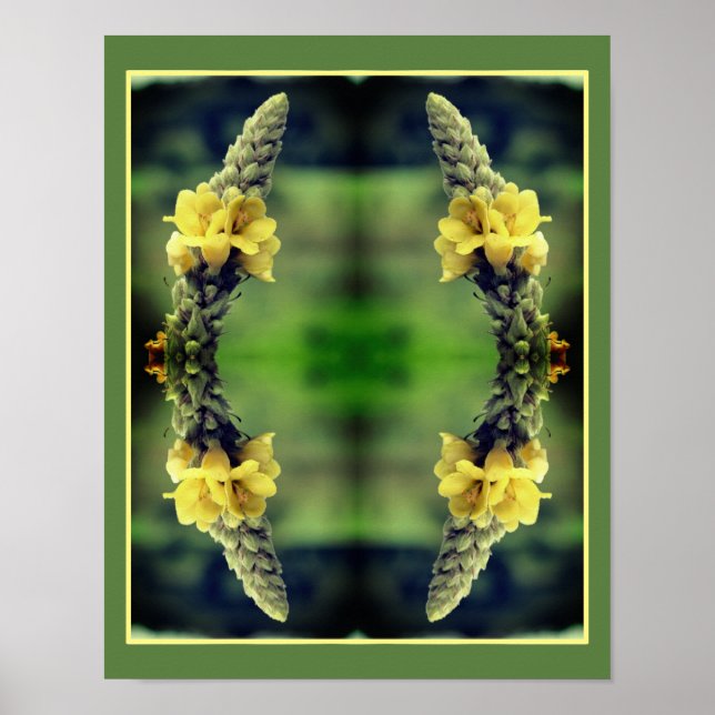 Affiche Fleur de Mullein Jaune Sauvage Abstraite (Devant)