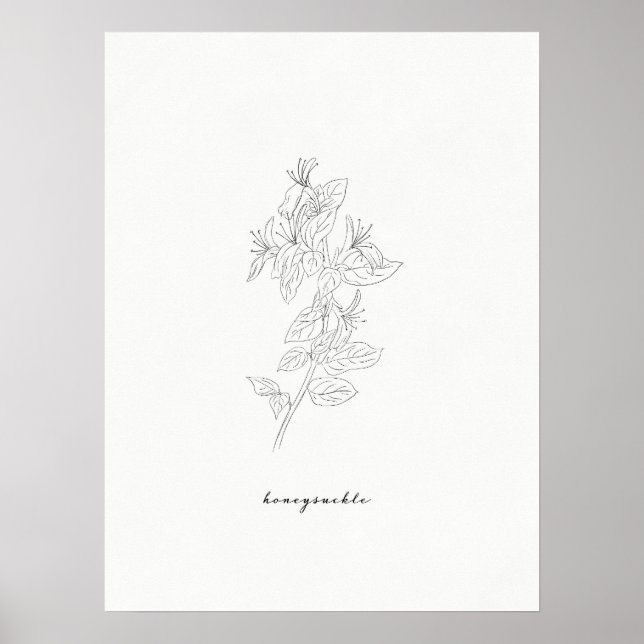 Affiche Fleur de naissance Honeysuckie Print (Devant)