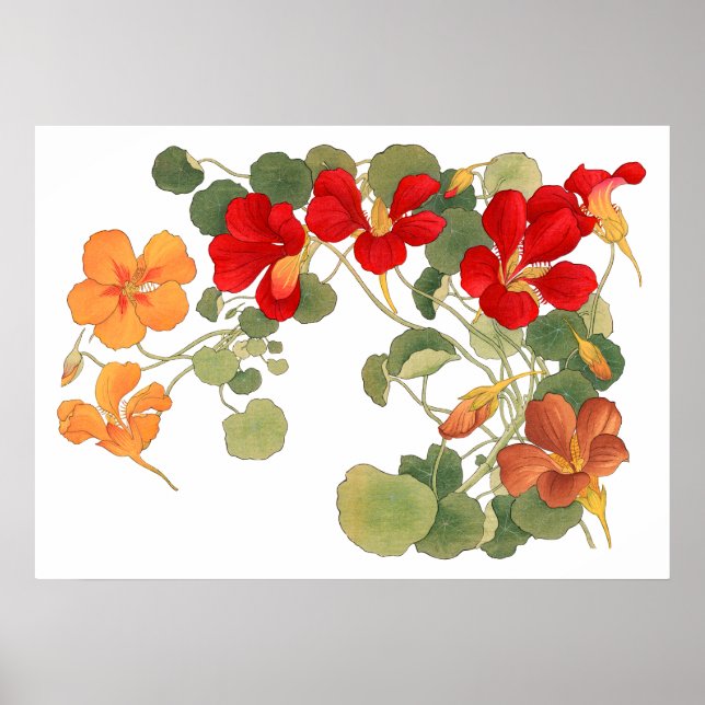 Affiche Fleur de Nasturtium, ukiyo japonais e art (Devant)