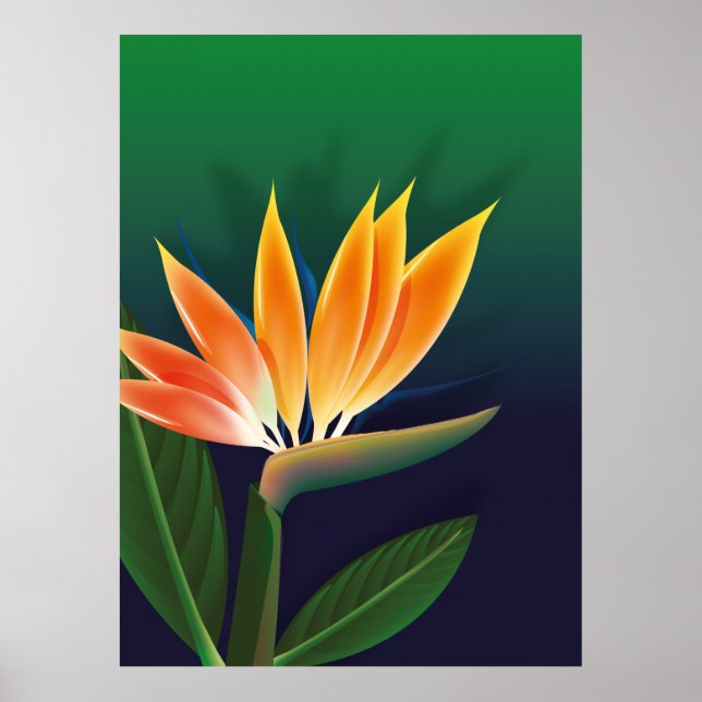 Affiche Fleur de paradisier (Devant)