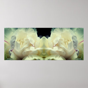 Affiche Fleur de pivoine blanche dans miroir de fleurs Abs