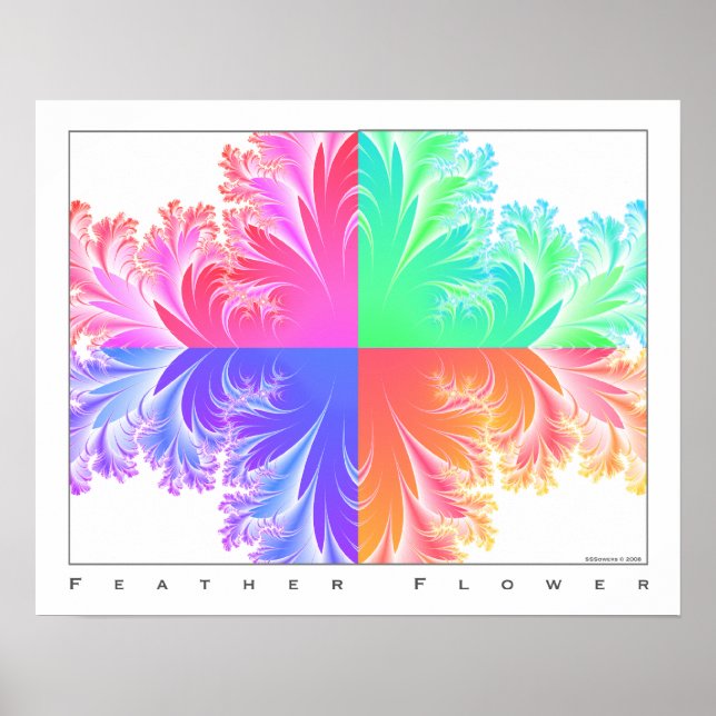 Affiche Fleur de plume (Devant)
