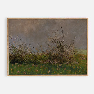 Affiche Fleur de prairie, vintage d'huile