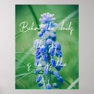 Affiche Fleur de printemps (Hyacinthe de raisin)