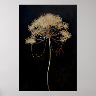 Affiche Fleur de Queue de Renard Séchée Dark Academia, Som