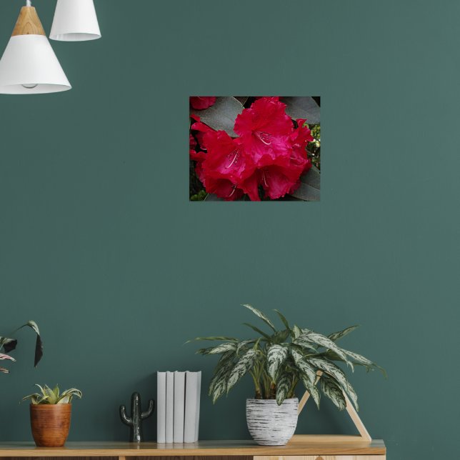 Affiche Fleur de Rhododendron Rose Profond Photographie Fl (Salon 1)