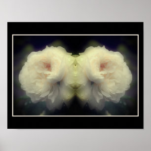 Affiche Fleur de rose blanche dans le miroir de fleurs Abs