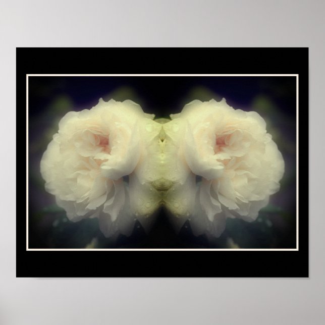 Affiche Fleur de rose blanche dans le miroir de fleurs Abs (Devant)