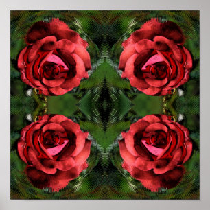 Affiche Fleur de rose rouge en fleurs Art abstrait 