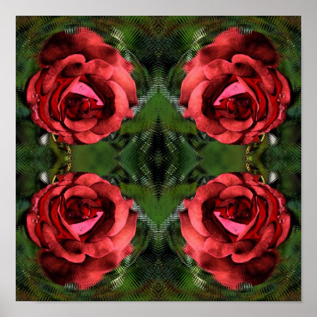 Affiche Fleur de rose rouge en fleurs Art abstrait  (Devant)