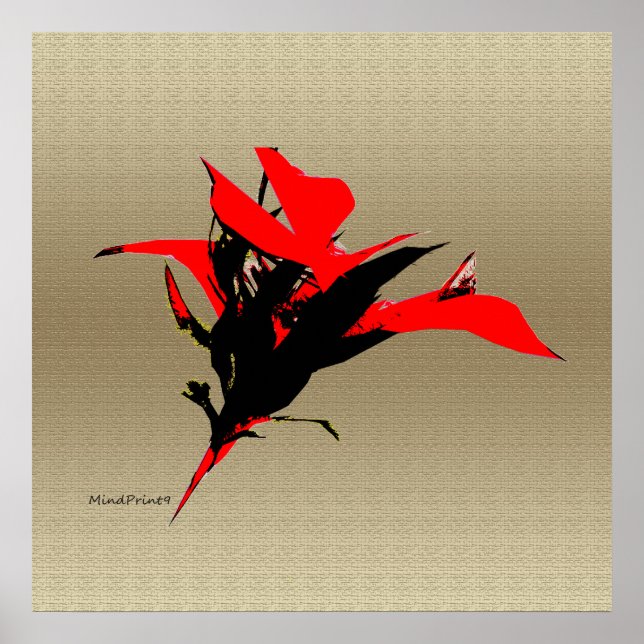 Affiche Fleur de souhait (Devant)