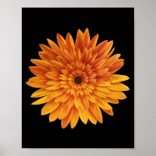 Affiche fleur de tournesol fleurs