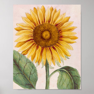 Affiche Fleur de tournesol vintage joyeuse