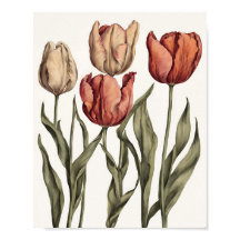 Fleur de tulipe