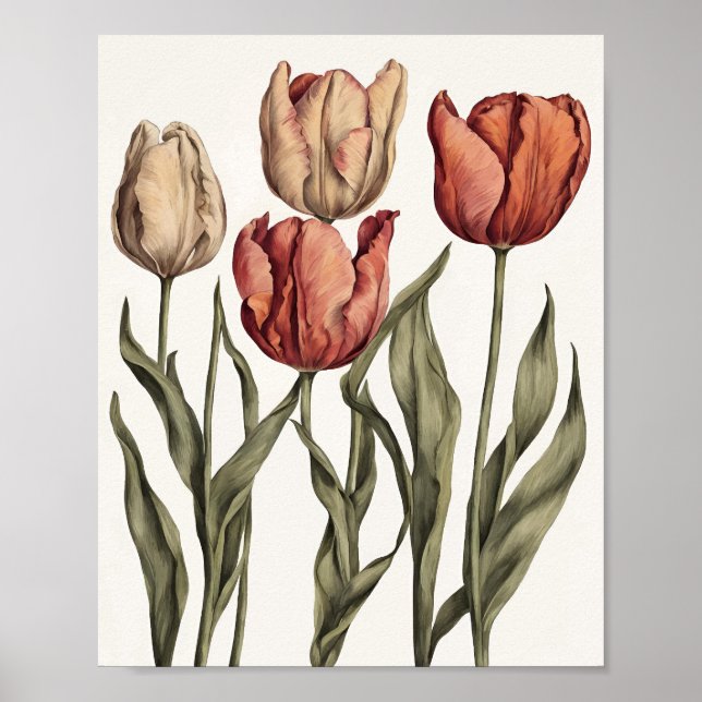 Affiche Fleur de tulipe (Devant)