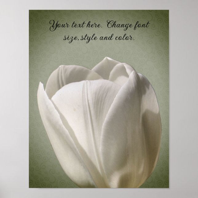 Affiche Fleur de tulipe blanche unique Créez votre propre  (Devant)