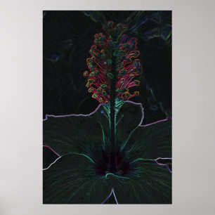 Affiche fleur de velours