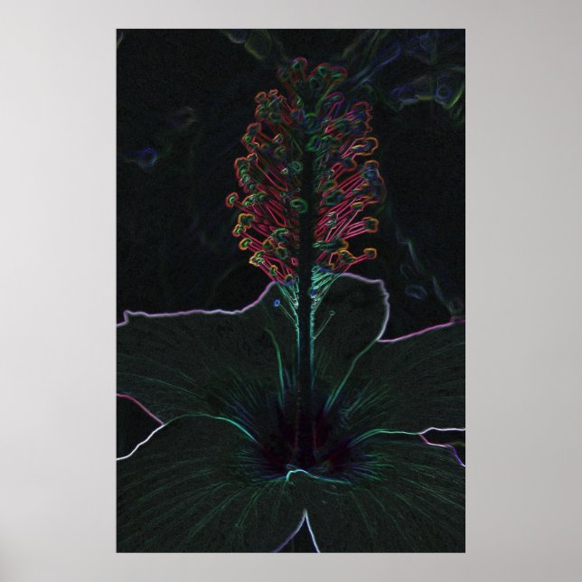 Affiche fleur de velours (Devant)