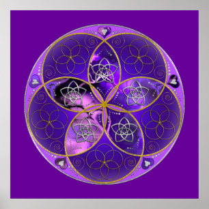 Affiche Fleur de Vénus du rose violet de fineART d'amour