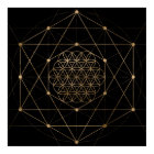 Fleur de vie Noir et or