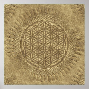 Affiche Fleur de vie - soleil - motif continu 4