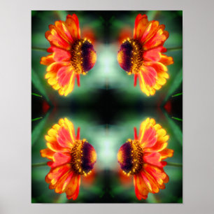 Affiche Fleur de Zinnia Rêveuse Art Abstrait 