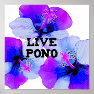 Affiche Fleur d'Hibiscus Hawaïen Violet Bleu Live Pono