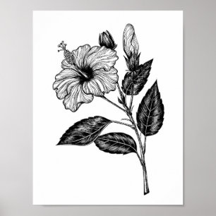 Affiche Fleur d'Hibiscus III